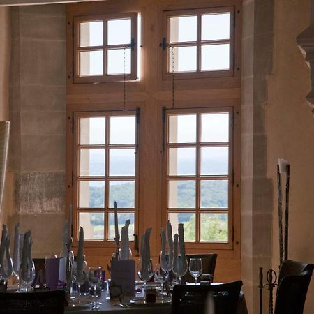 فندق نيونفي  Chateau Le Rosey المظهر الخارجي الصورة