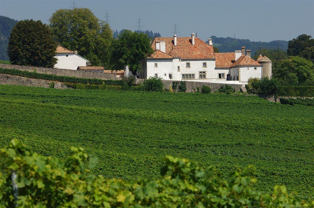 فندق نيونفي  Chateau Le Rosey المظهر الخارجي الصورة