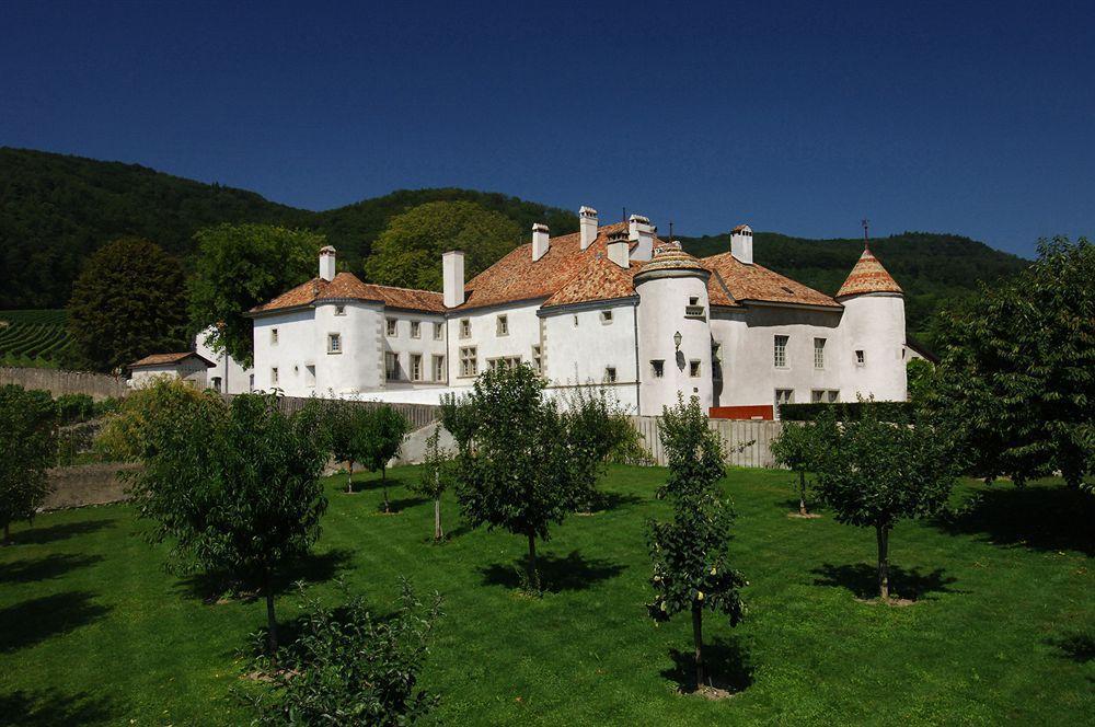 فندق نيونفي  Chateau Le Rosey المظهر الخارجي الصورة
