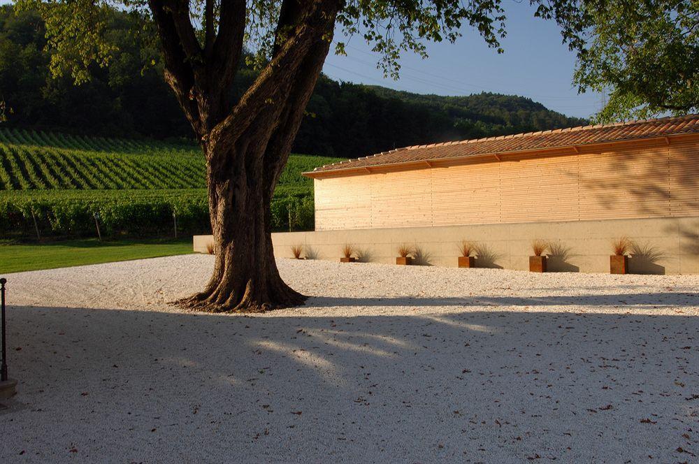 فندق نيونفي  Chateau Le Rosey المظهر الخارجي الصورة
