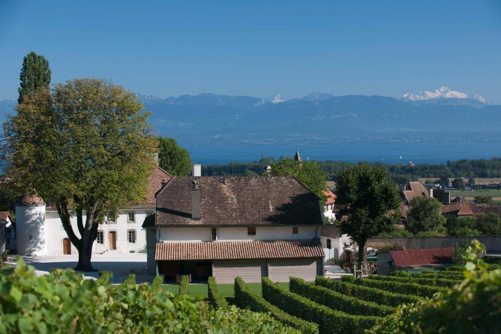 فندق نيونفي  Chateau Le Rosey المظهر الخارجي الصورة