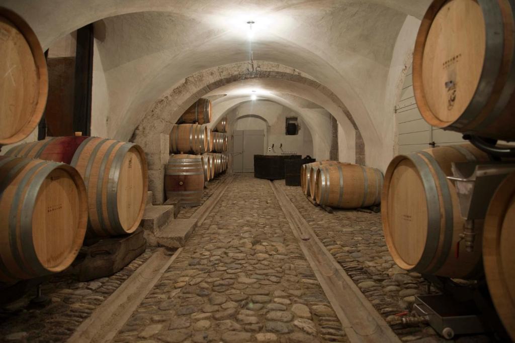 فندق نيونفي  Chateau Le Rosey المظهر الخارجي الصورة