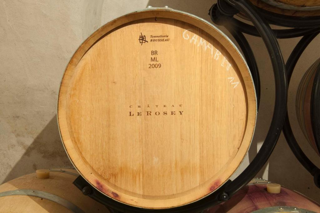 فندق نيونفي  Chateau Le Rosey المظهر الخارجي الصورة