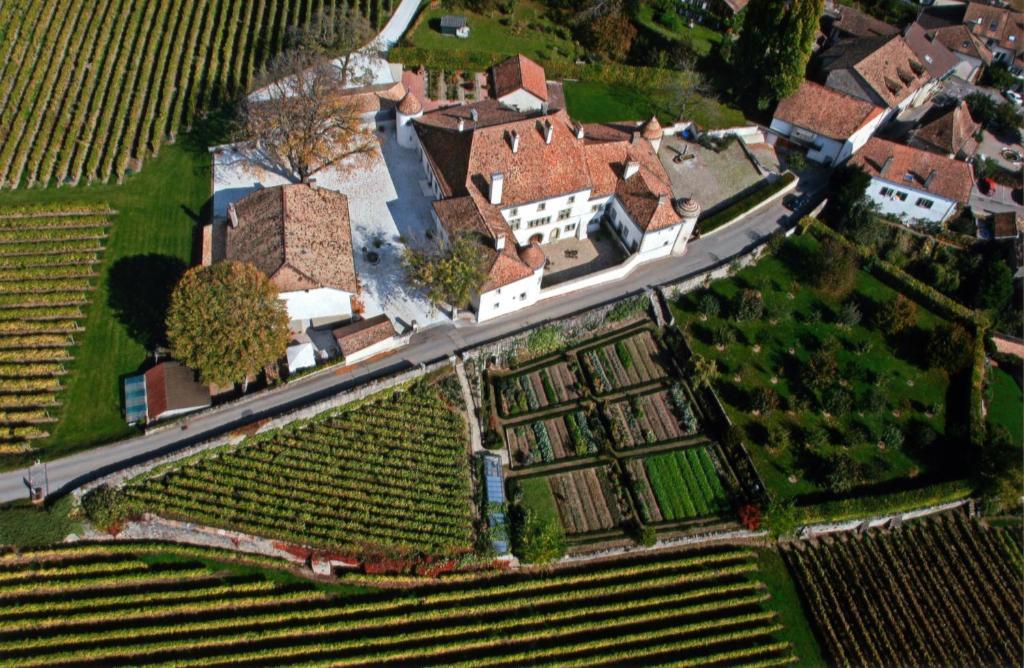 فندق نيونفي  Chateau Le Rosey المظهر الخارجي الصورة